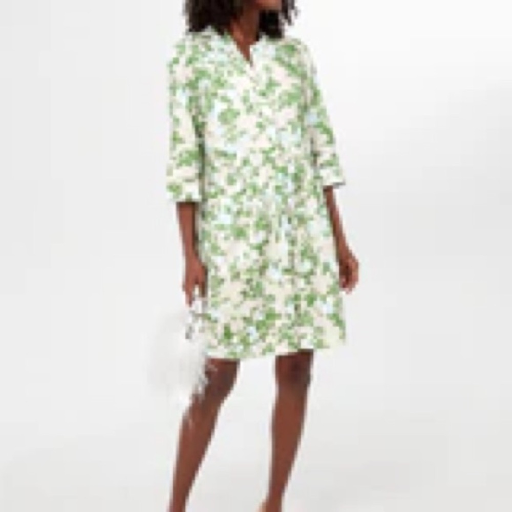 Tuckernuck English ivy royal shirt dress large